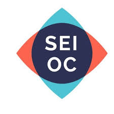 Sociedad Española de Inflamación Ocular (SEIOC)